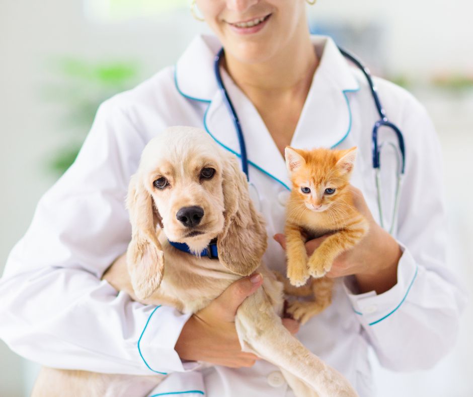 Lic. Medicina Veterinaria